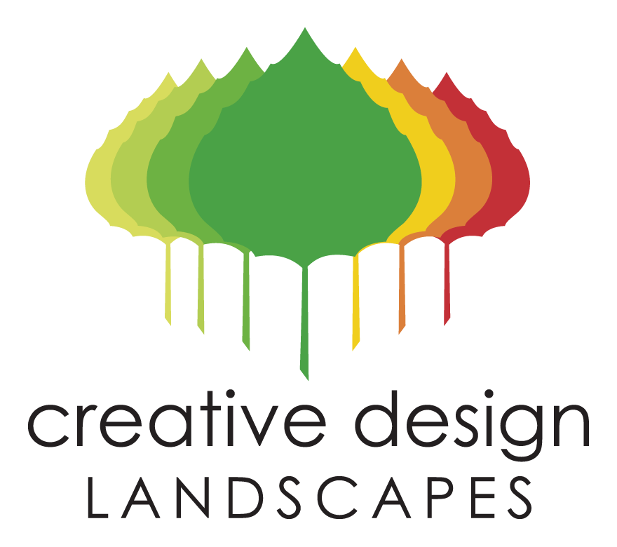 Cdl Logo Vector 2019 Cdl Logo Vector 2019